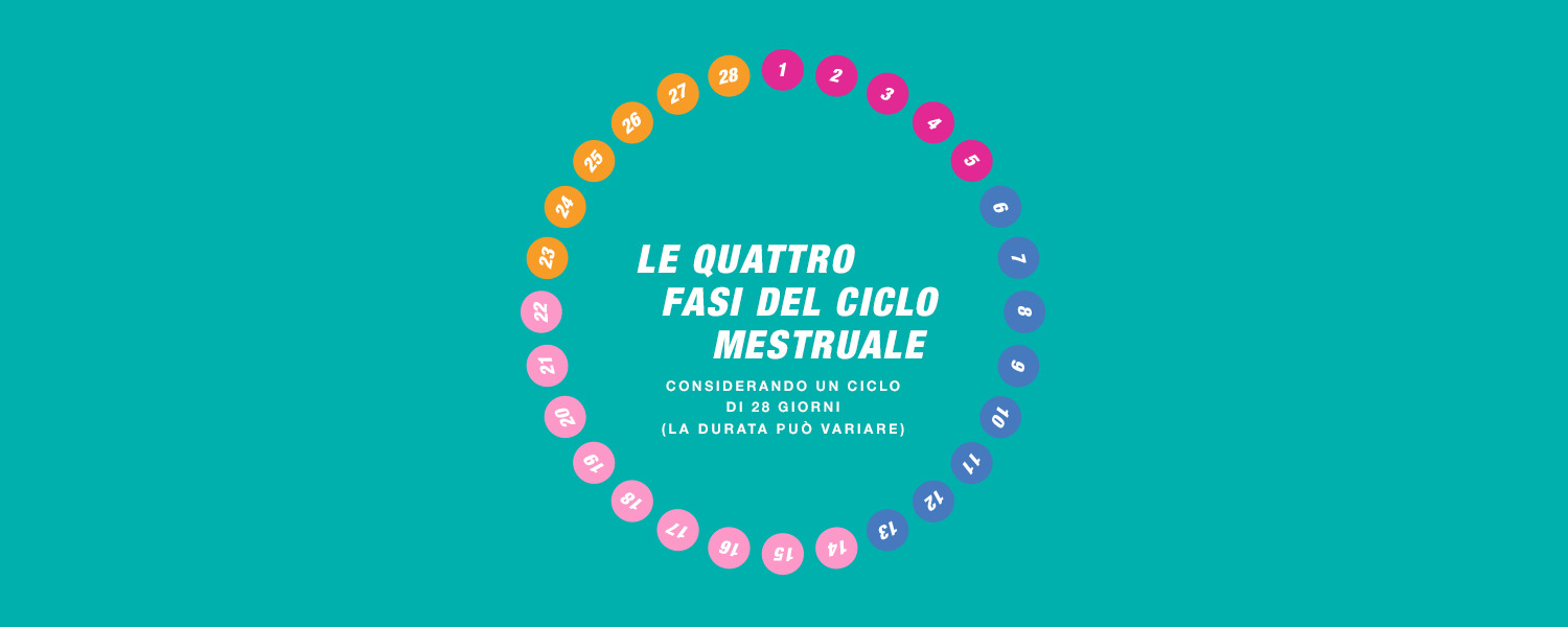 Grafico delle fasi del ciclo mestruale